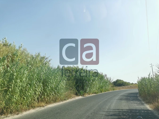 Terreno para Venda em Alpiarça Foto 4