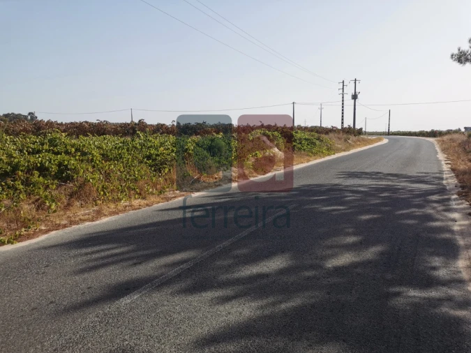 Terreno para Venda em Alpiarça Foto 6