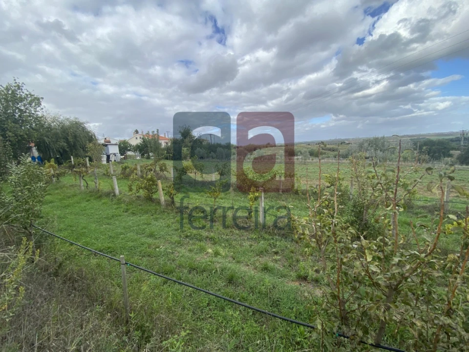 Moradia para Venda em Marvila, Ribeira Santarém, São Salvador, São Nicolau Foto 3