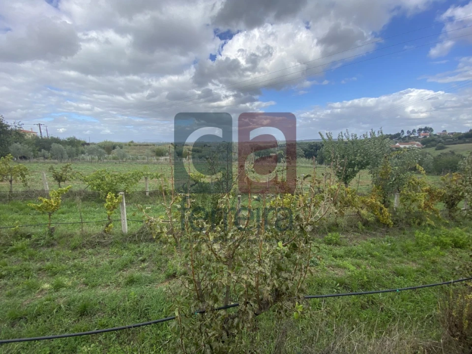Moradia para Venda em Marvila, Ribeira Santarém, São Salvador, São Nicolau Foto 4