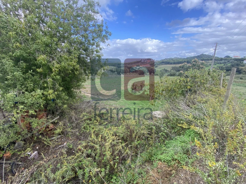 Moradia para Venda em Marvila, Ribeira Santarém, São Salvador, São Nicolau Foto 6