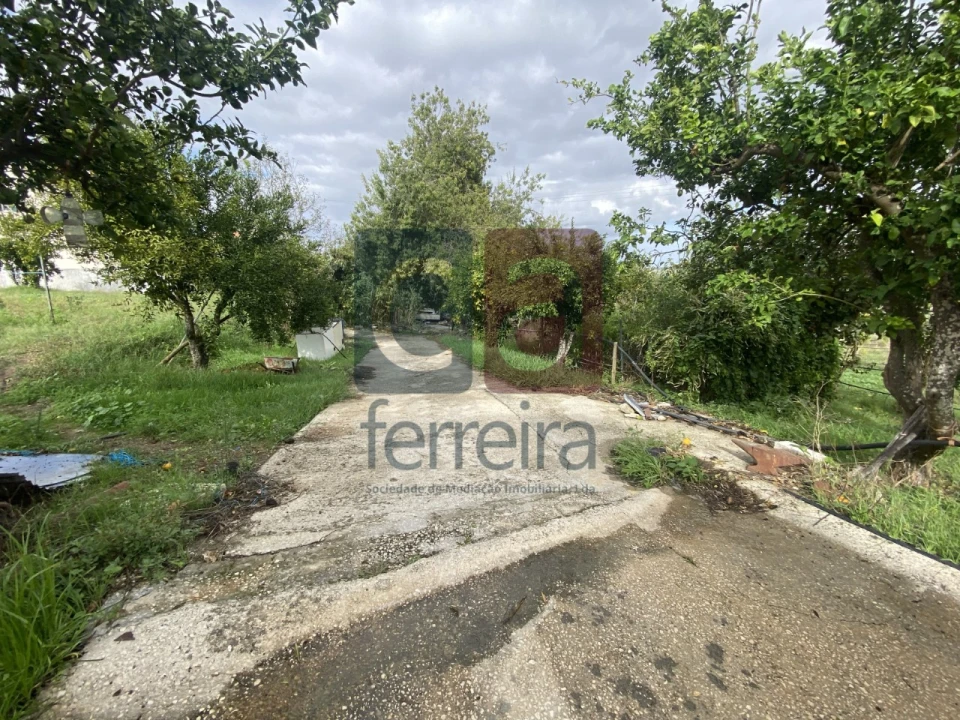 Moradia para Venda em Marvila, Ribeira Santarém, São Salvador, São Nicolau Foto 20