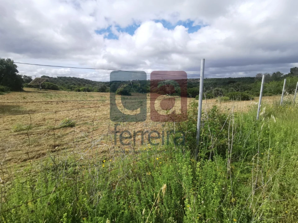 Armazém para Venda em Azoia de Cima e Tremês Foto 12
