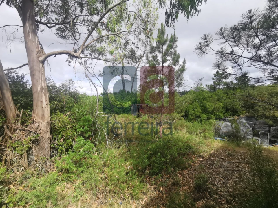 Armazém para Venda em Azoia de Cima e Tremês Foto 14