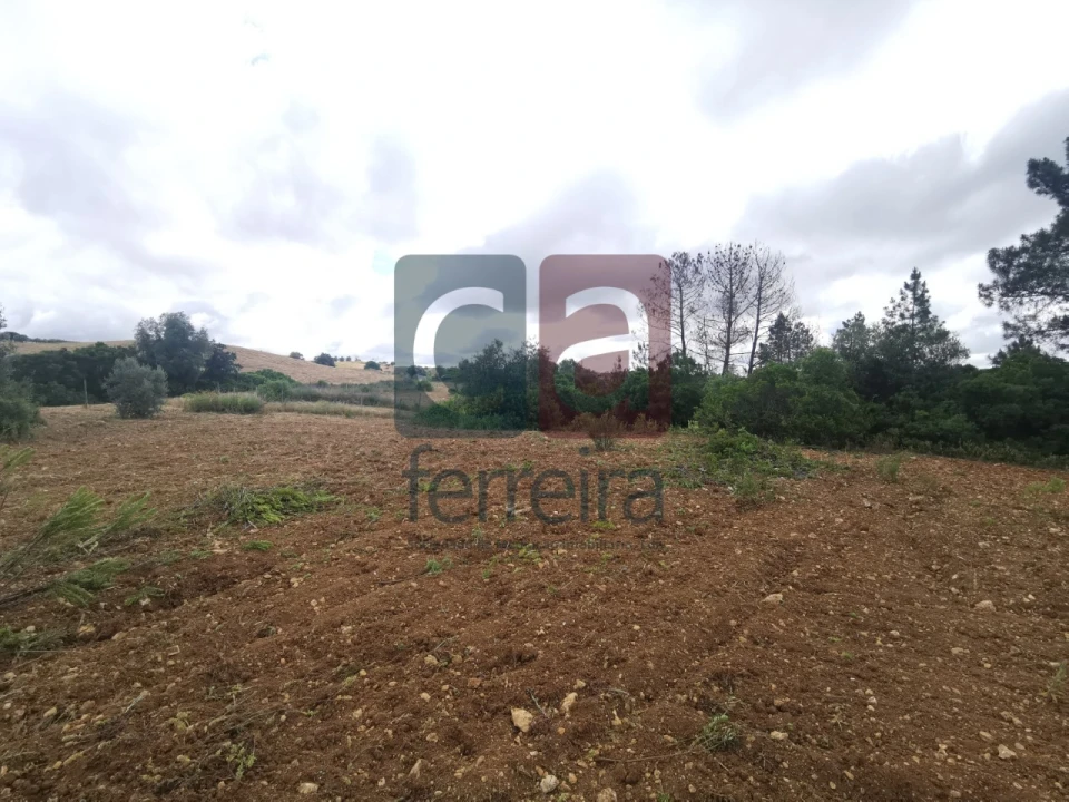 Armazém para Venda em Azoia de Cima e Tremês Foto 16