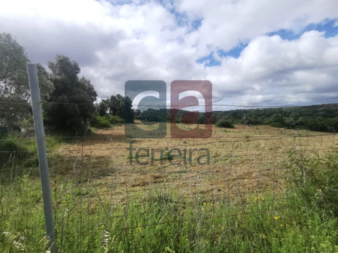 Armazém para Venda em Azoia de Cima e Tremês Foto 11