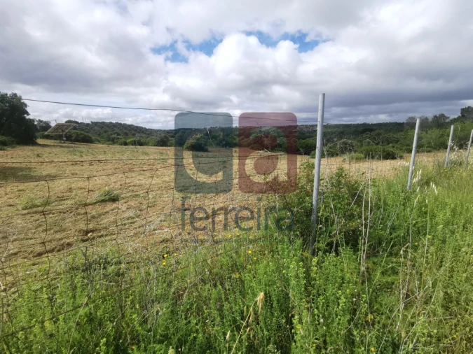 Armazém para Venda em Azoia de Cima e Tremês Foto 12