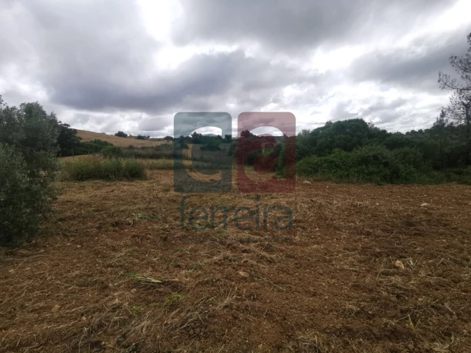 Armazém para Venda em Azoia de Cima e Tremês Foto 13