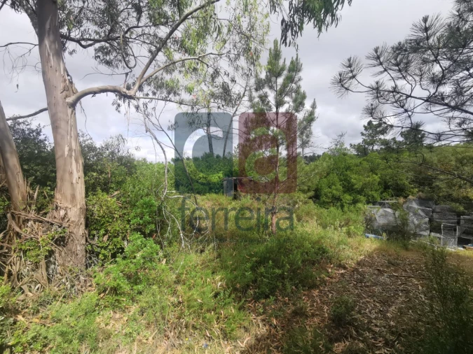 Armazém para Venda em Azoia de Cima e Tremês Foto 14