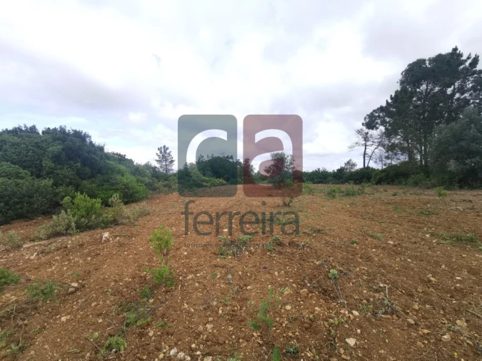Armazém para Venda em Azoia de Cima e Tremês Foto 17