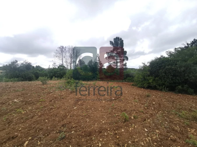 Armazém para Venda em Azoia de Cima e Tremês Foto 18