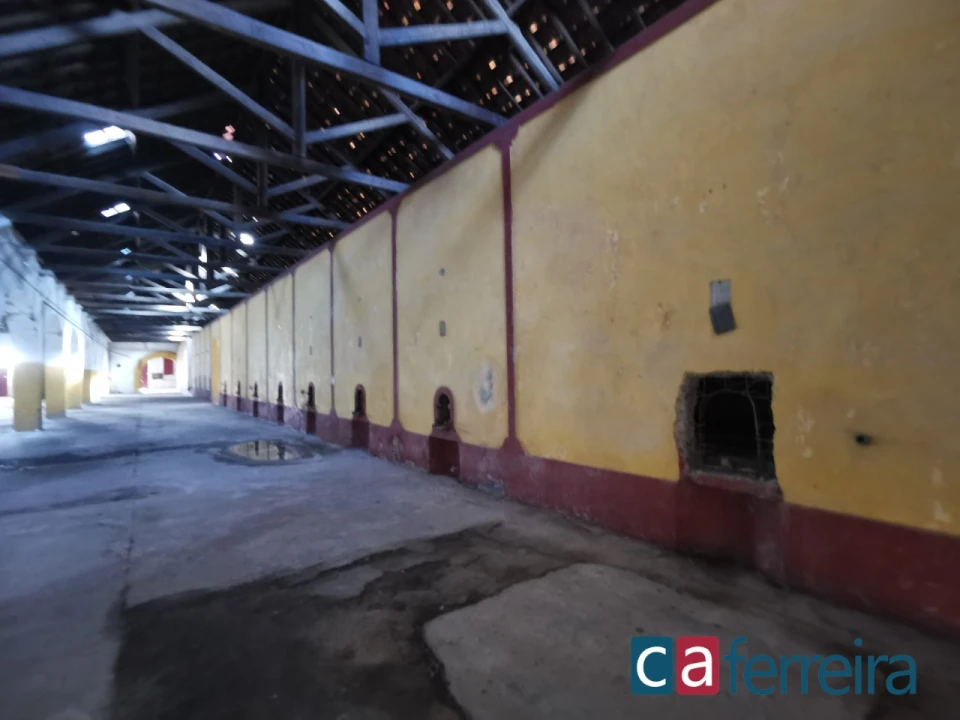 Armazém para Venda em Almeirim Foto 4