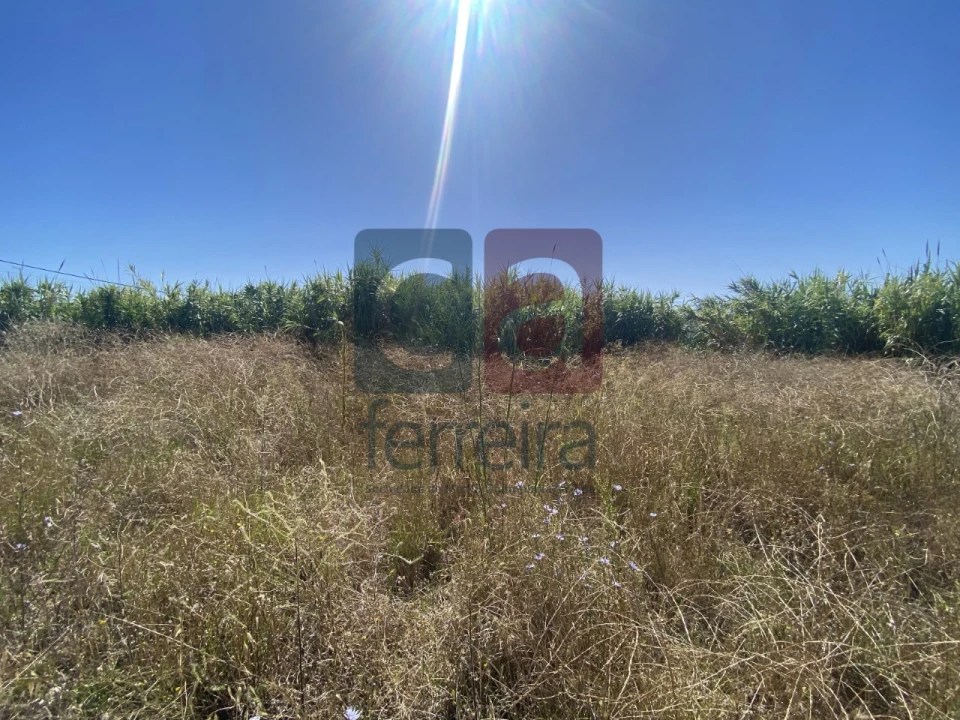 Terreno para Venda em Marvila, Ribeira Santarém, São Salvador, São Nicolau Foto 13