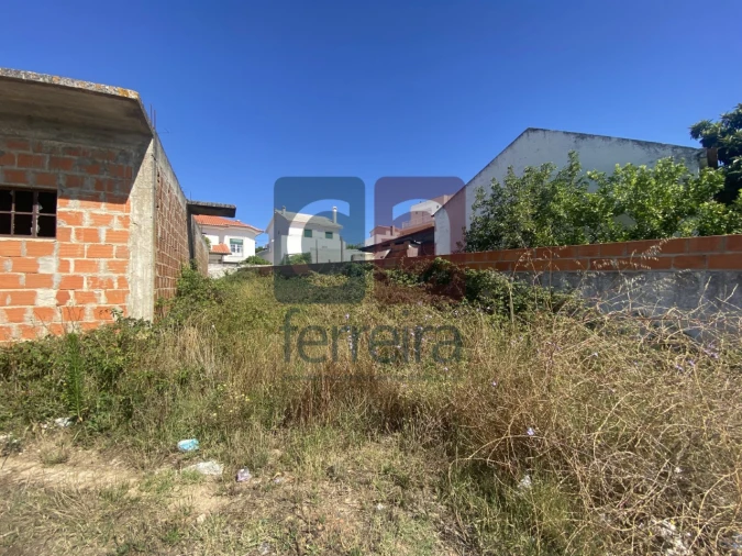 Terreno para Venda em Marvila, Ribeira Santarém, São Salvador, São Nicolau Foto 12