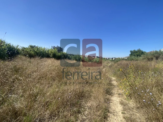 Terreno para Venda em Marvila, Ribeira Santarém, São Salvador, São Nicolau Foto 14