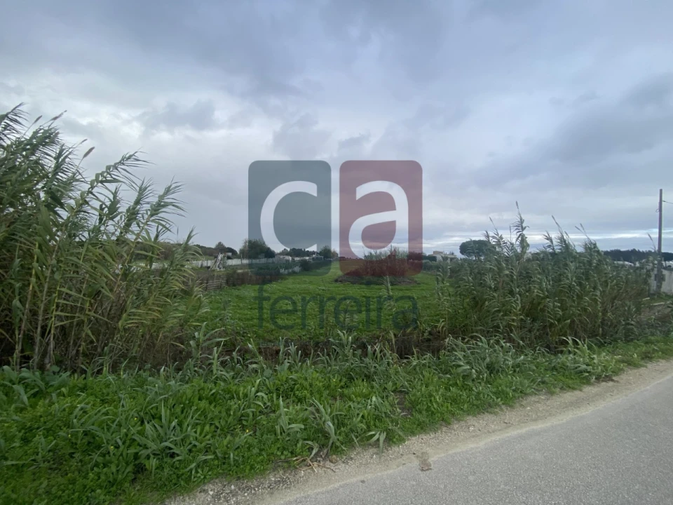 Terreno para Venda em Almeirim Foto 1