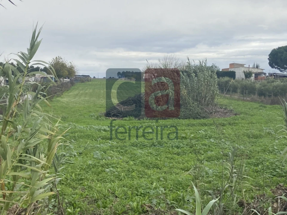 Terreno para Venda em Almeirim Foto 2