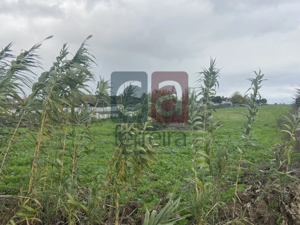 Terreno para Venda em Almeirim Foto 6