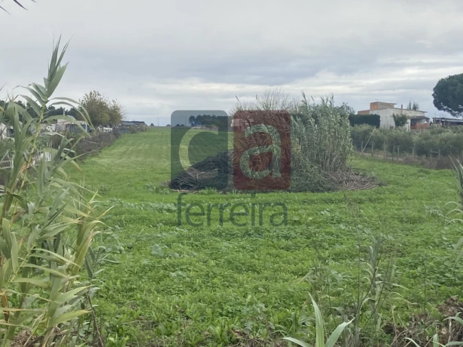 Terreno para Venda em Almeirim Foto 2