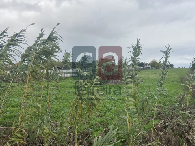 Terreno para Venda em Almeirim Foto 6