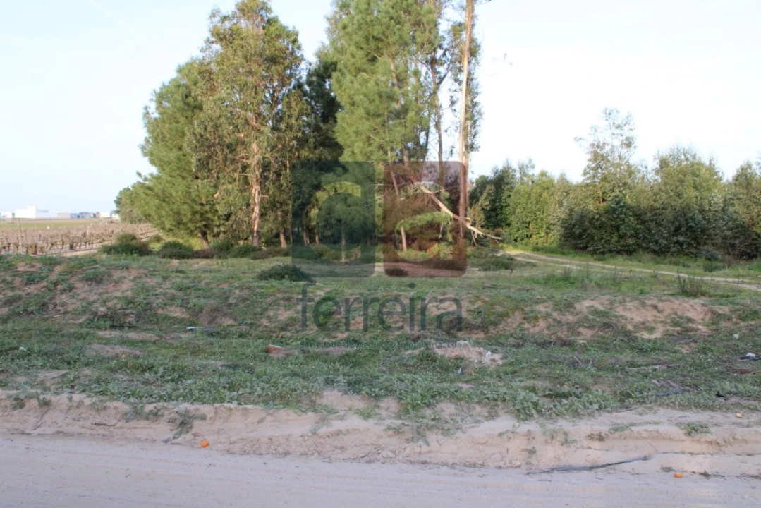 Terreno para Venda em Almeirim Foto 9