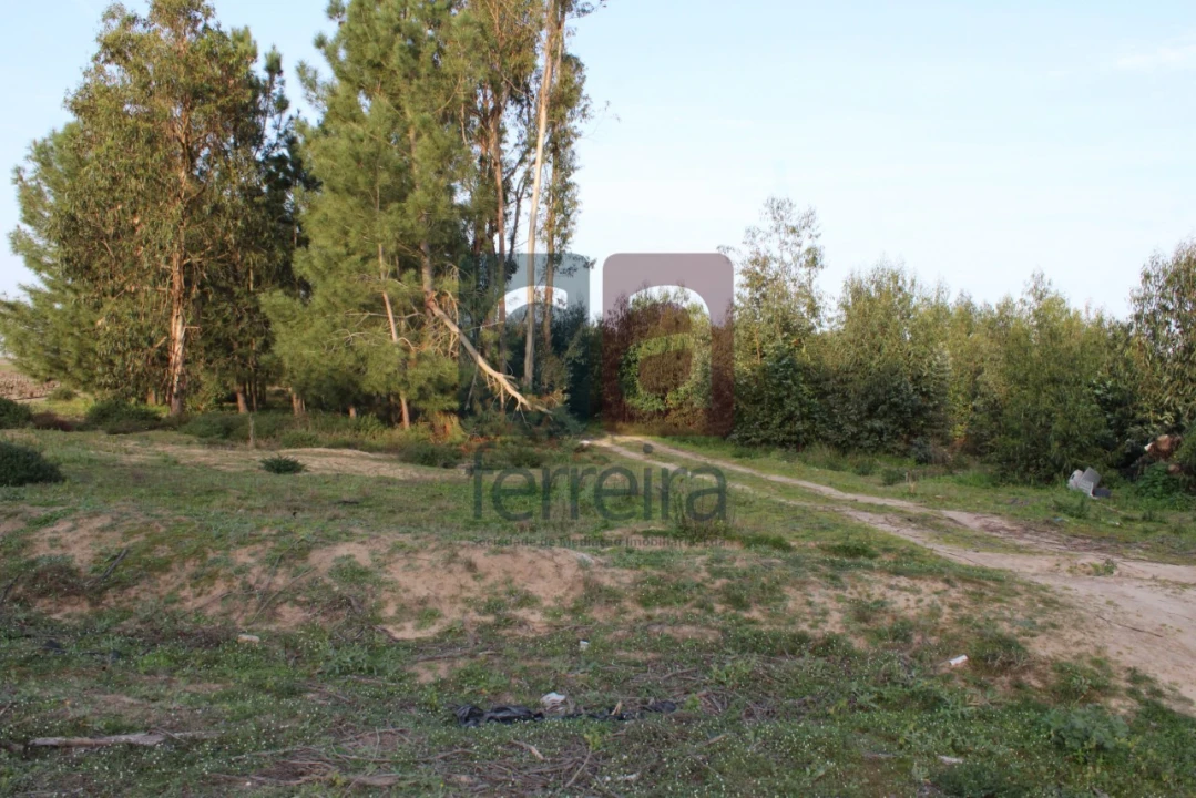 Terreno para Venda em Almeirim Foto 11
