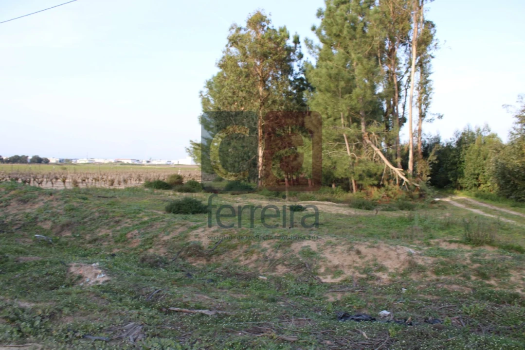 Terreno para Venda em Almeirim Foto 12