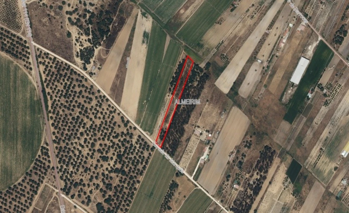 Terreno para Venda em Almeirim Foto 16