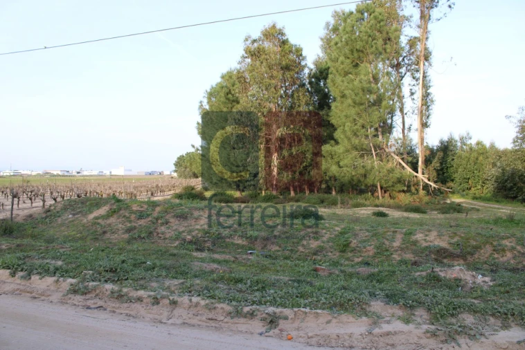 Terreno para Venda em Almeirim Foto 1