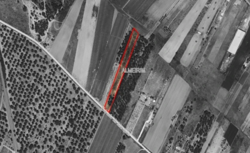 Terreno para Venda em Almeirim Foto 15