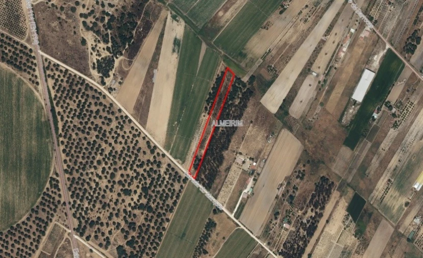 Terreno para Venda em Almeirim Foto 16