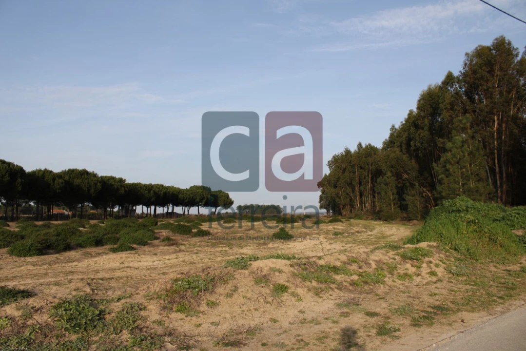 Terreno para Venda em Almeirim Foto 3
