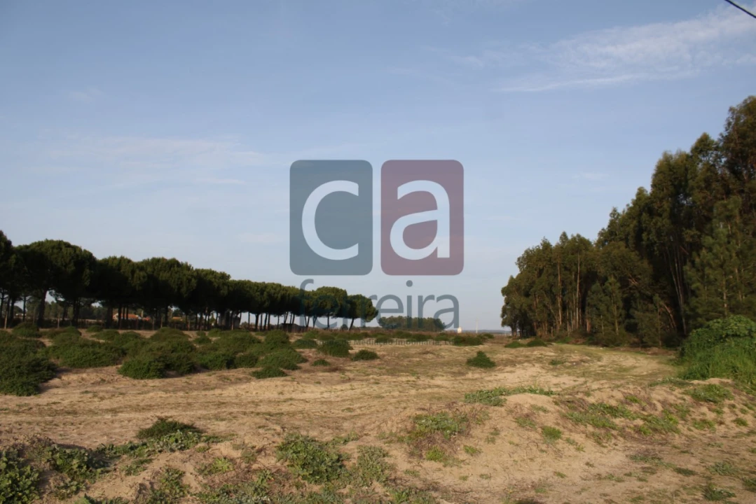 Terreno para Venda em Almeirim Foto 5