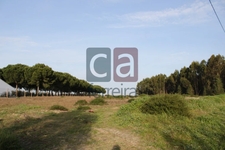 Terreno para Venda em Almeirim Foto 7