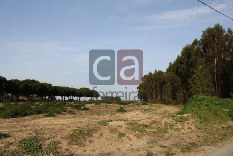 Terreno para Venda em Almeirim Foto 13