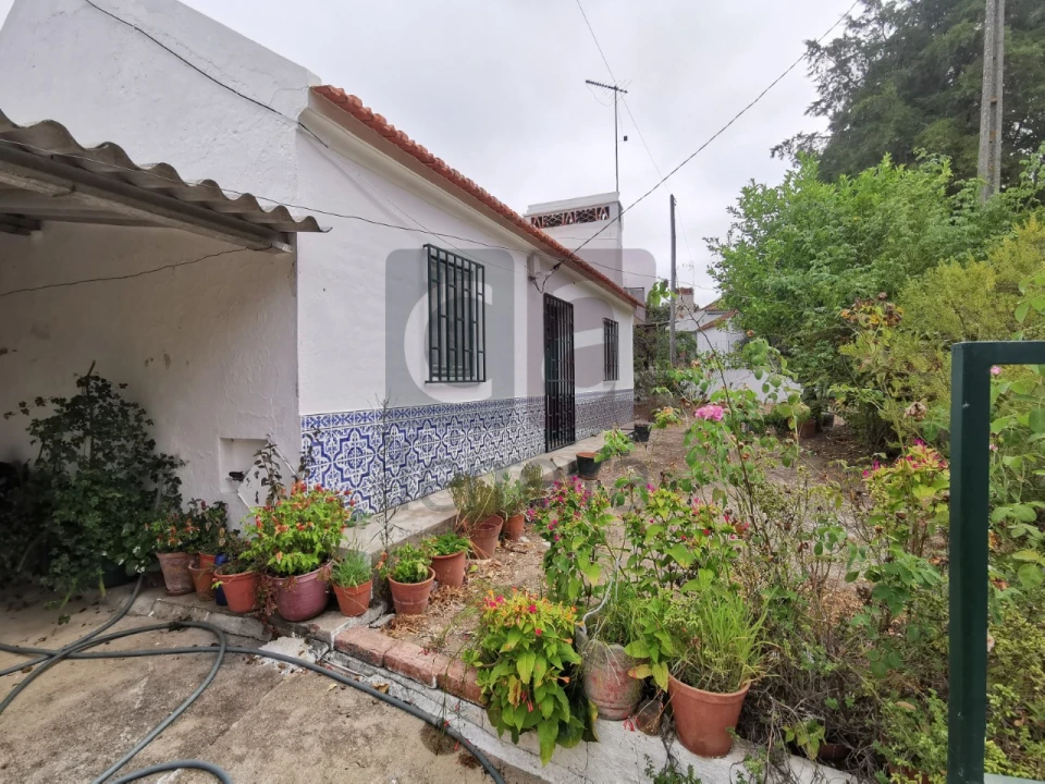 Moradia T2 para Venda em Parreira e Chouto Foto 1