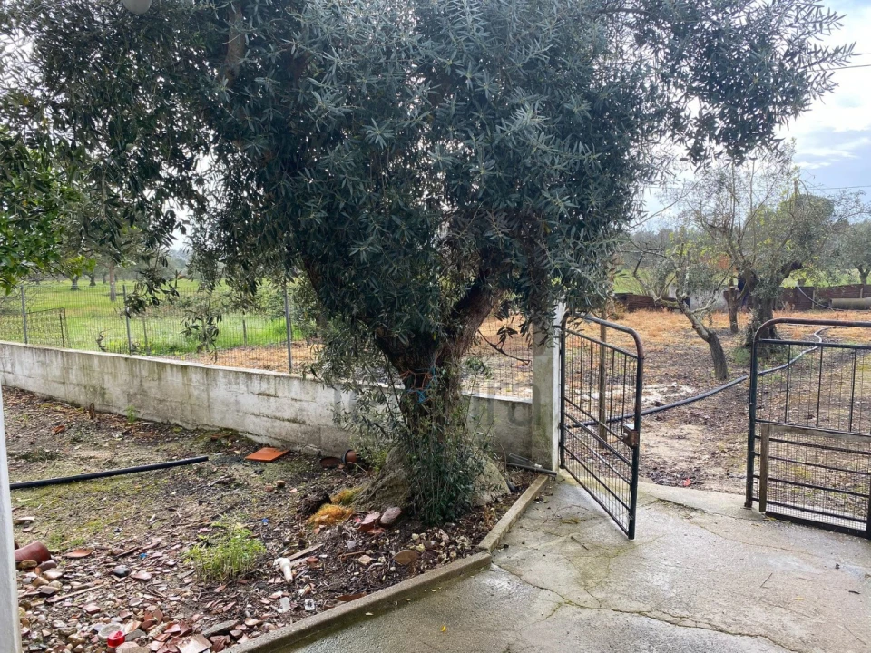 Moradia T2 para Venda em Parreira e Chouto Foto 36