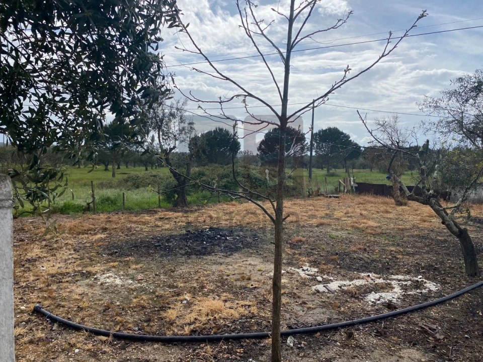 Moradia T2 para Venda em Parreira e Chouto Foto 39