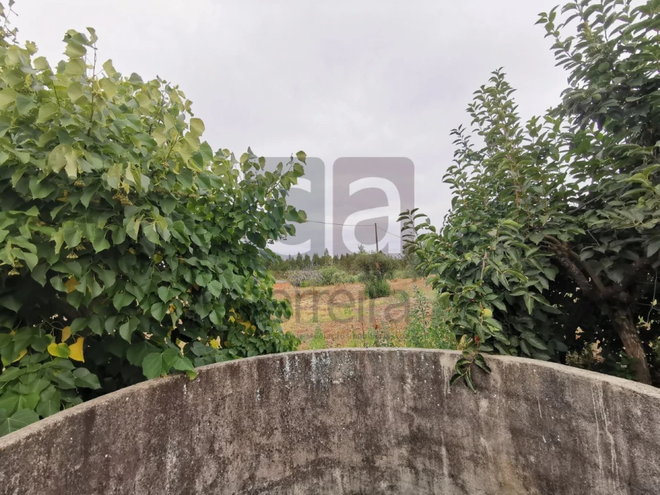 Moradia T2 para Venda em Parreira e Chouto Foto 46