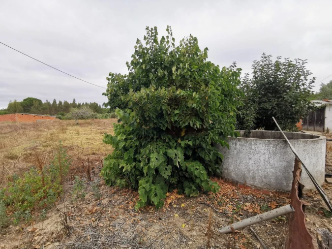 Moradia T2 para Venda em Parreira e Chouto Foto 22