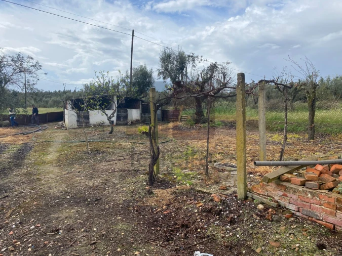 Moradia T2 para Venda em Parreira e Chouto Foto 37