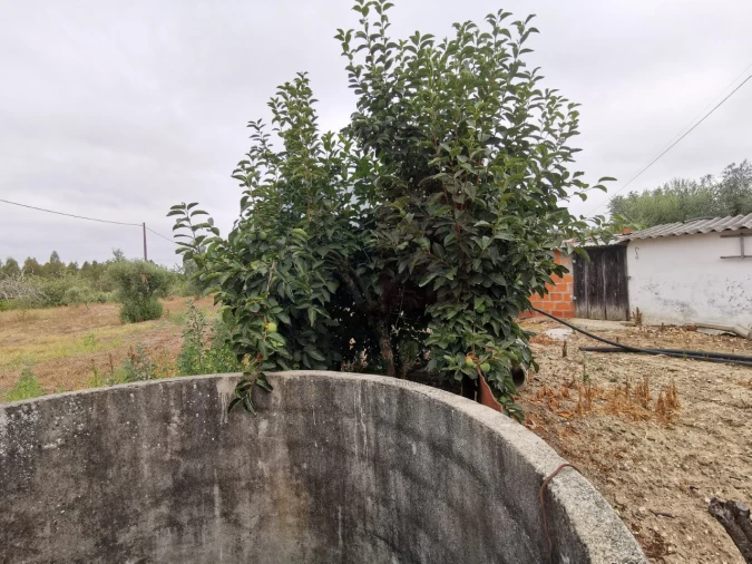 Moradia T2 para Venda em Parreira e Chouto Foto 45