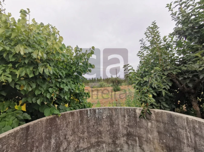 Moradia T2 para Venda em Parreira e Chouto Foto 46