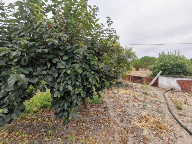 Moradia T2 para Venda em Parreira e Chouto Foto 50