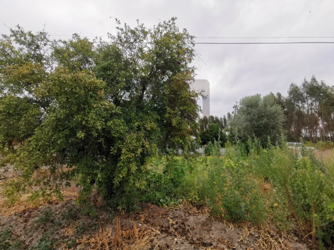 Moradia T2 para Venda em Parreira e Chouto Foto 53