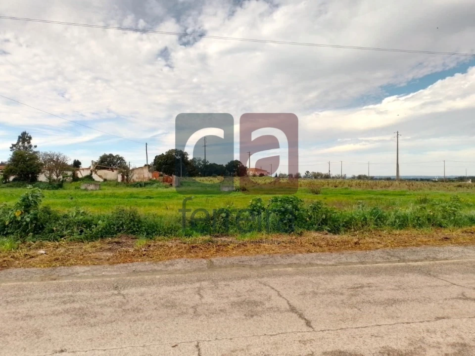 Terreno para Venda em Fazendas de Almeirim Foto 7