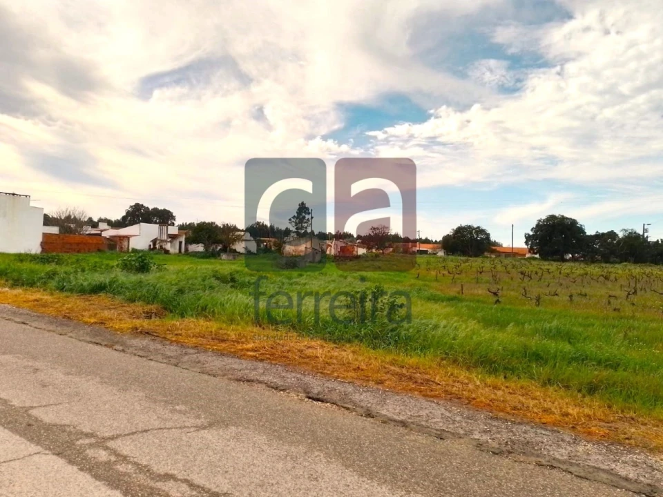 Terreno para Venda em Fazendas de Almeirim Foto 9
