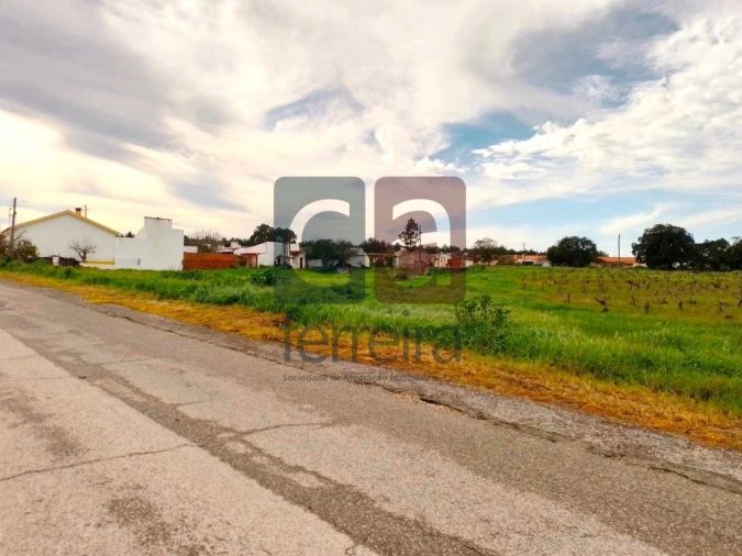 Terreno para Venda em Fazendas de Almeirim Foto 5