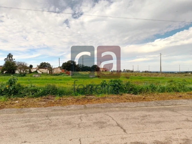 Terreno para Venda em Fazendas de Almeirim Foto 7