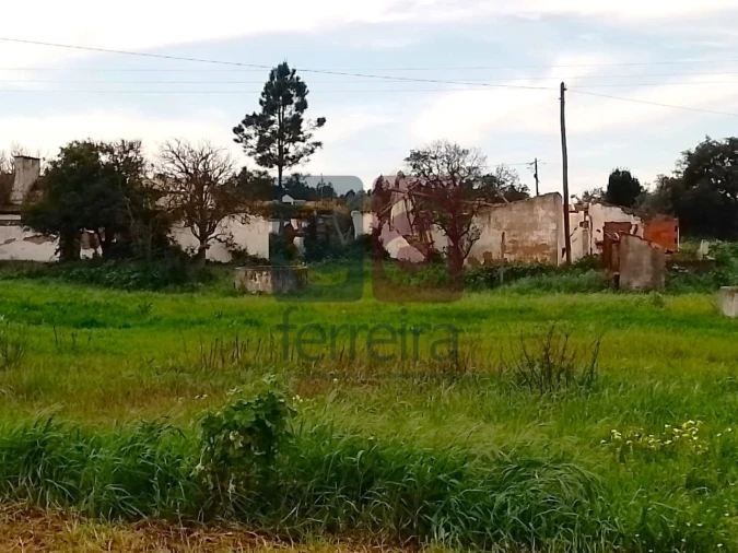 Terreno para Venda em Fazendas de Almeirim Foto 11